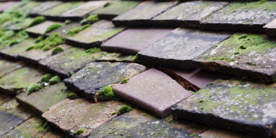 Great Wakering roof repair costs